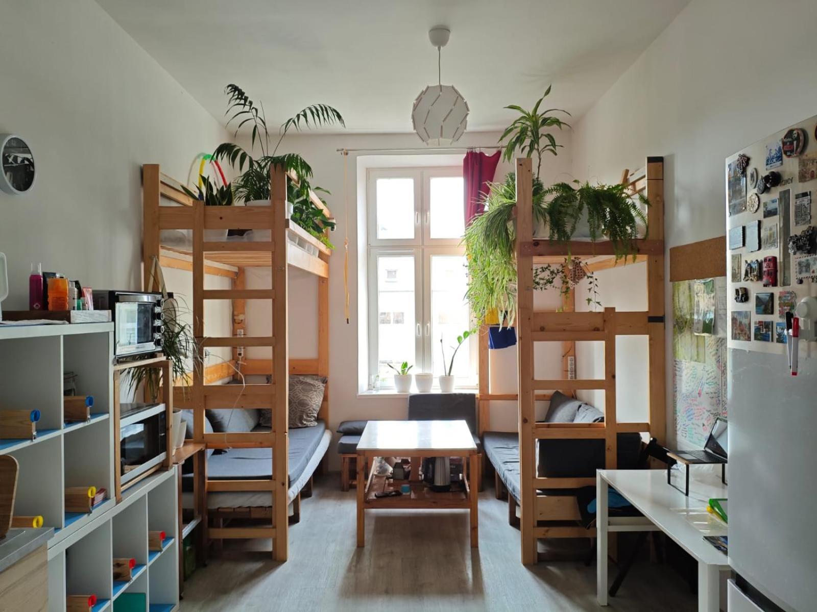 Evergreen Hostel Cracovia Exterior foto